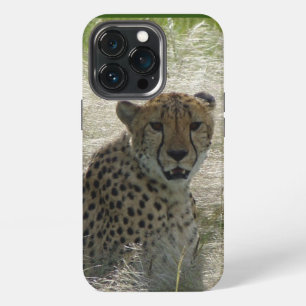 13 Pro Funda para iPhone / iPad Cheetah