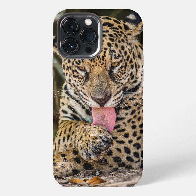 13 Pro Max Funda para iPhone Jaguar Cub Case-Mate (Reverso )