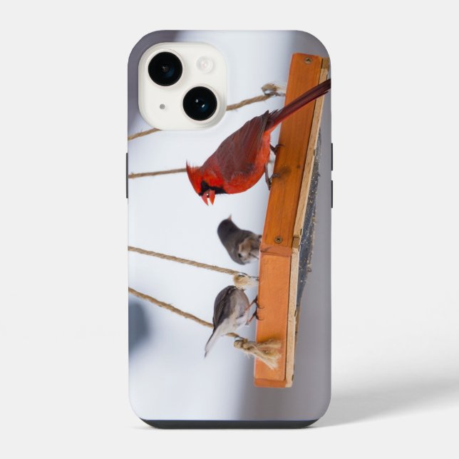 14 Funda para iPhone Cardinal y Juncos (Reverso )