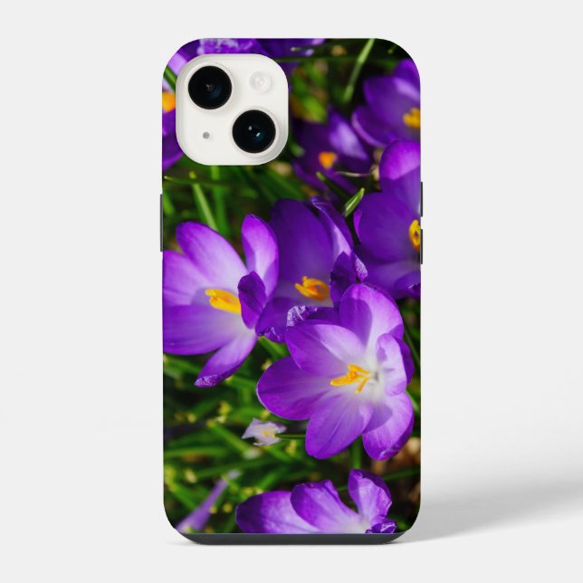 14 Funda para iPhone Lilac Crocuses (Reverso )