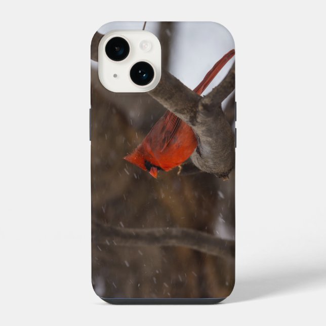 14 Funda para iPhone Snow Storm Cardinal (Reverso )