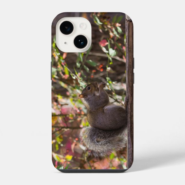 14 Funda para iPhone Tiempo de Comida para Ardillas (Reverso )