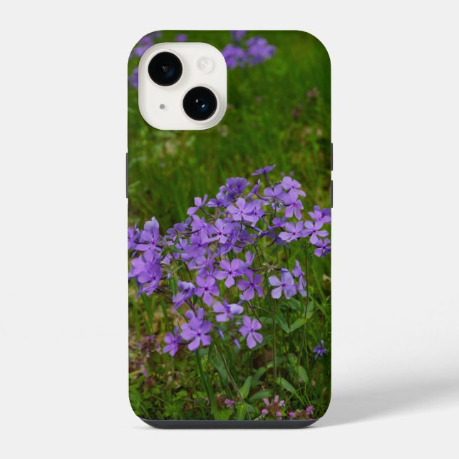 14 Funda para iPhone Wild Blue Phlox (Reverso )