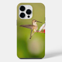 Funda para iPhone de Colibrí de Garganta Rubí #108