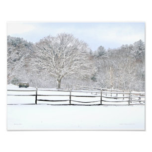 14 x 11 Foto de Walden Woods Project Farm Print