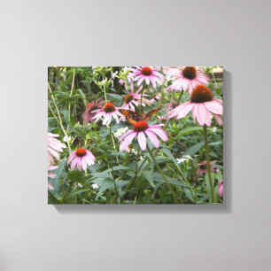 14" x 11", foto en lienzo envuelto con margaritas 