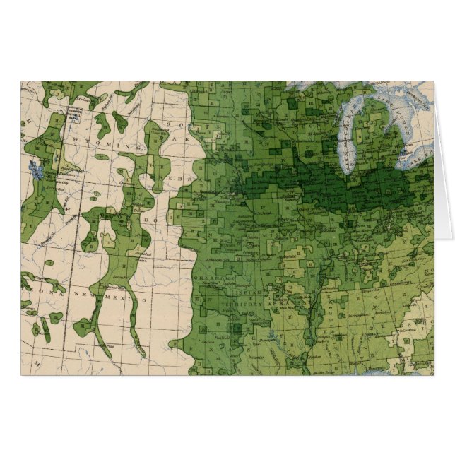 155 maíz/acre (Anverso (Horizontal))