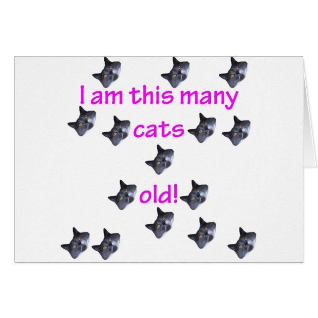 15 cabezas del gato viejas (Anverso (Horizontal))