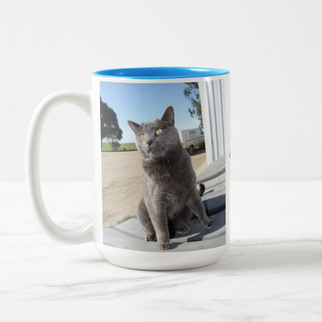 15 onzas. Taza del gato (Izquierda)