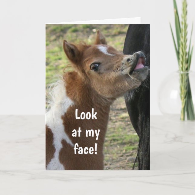 **16º CUMPLEAÑOS** Tarjeta DE PONY SURPIRS (Anverso)