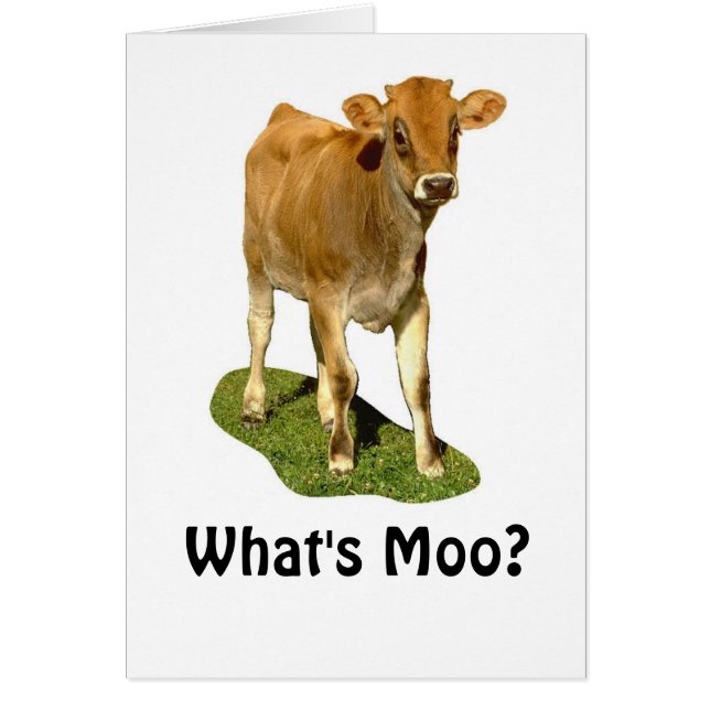 1607513, ¿Qué es Moo? (Frente)