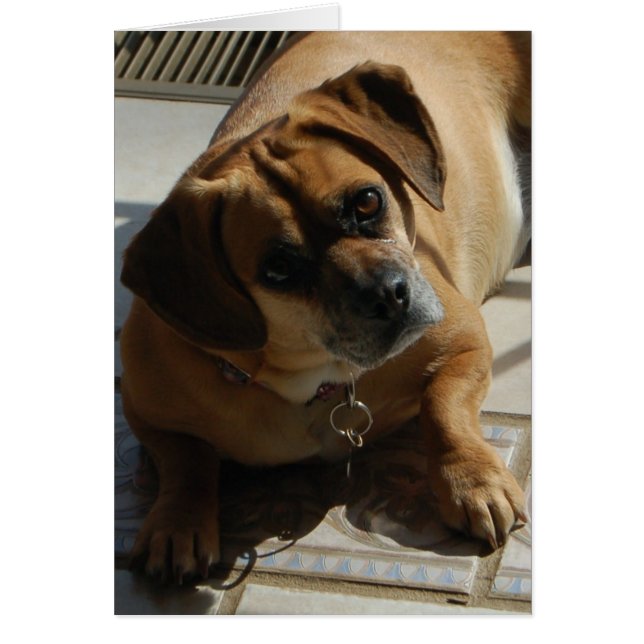 167 Tarjeta de alternancia (Frente)