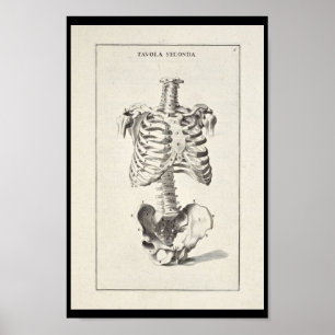 1691 Anatomía Artística Impresión de Arte de Esque