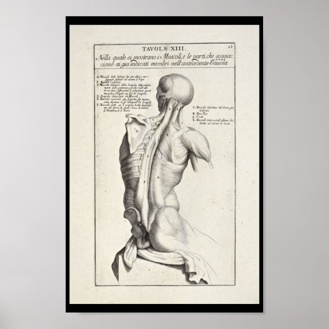 1691 Anatomía artística Músculos de espalda Arte I (Frente)