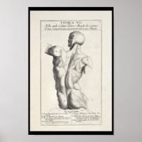 1691 Anatomía artística Músculos de espalda Arte I