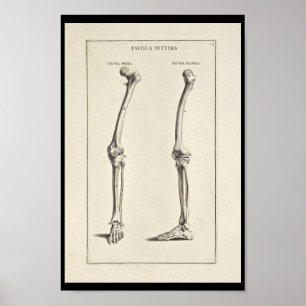 1691 Impresión artística de anatomía artística de