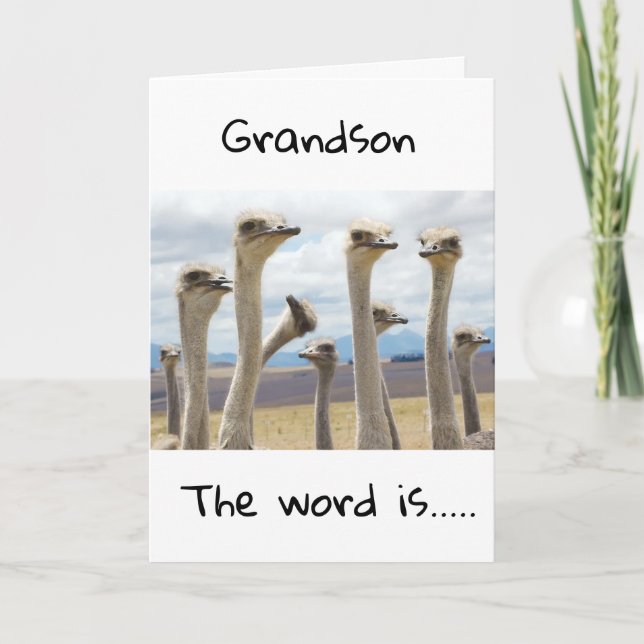 **16** AHORA ERES ADOLESCENTE **GRANDSON** TARJETA (Anverso)