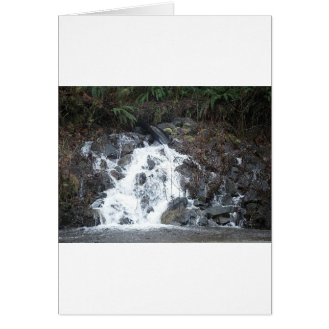 16 de enero (170) (Frente)