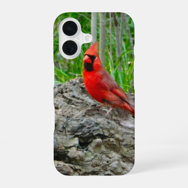 16 Funda para iPhone de Cardenal Rojo (Reverso )