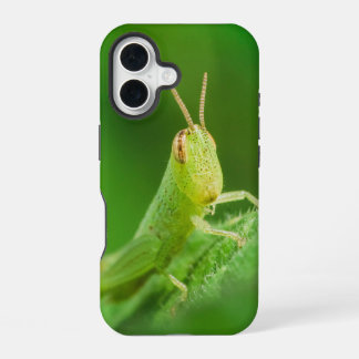 16 Funda para iPhone / iPad