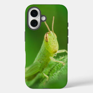 16 Funda para iPhone / iPad