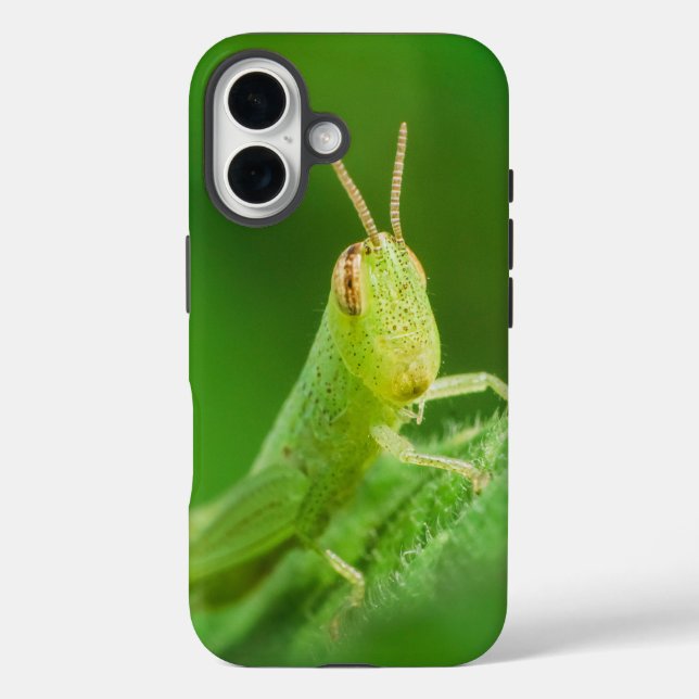 16 Funda para iPhone / iPad (Reverso )