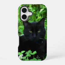 Funda para iPhone / iPad Black Cat