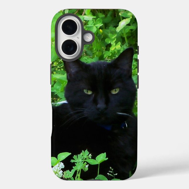 16 Funda para iPhone / iPad Black Cat (Reverso )