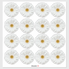 16 Pegatinas de Flor de Gerbera Blanca con Corte K