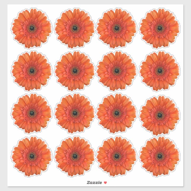 16 Pegatinas de Flor de Gerbera Margarita Naranja  (Hoja)