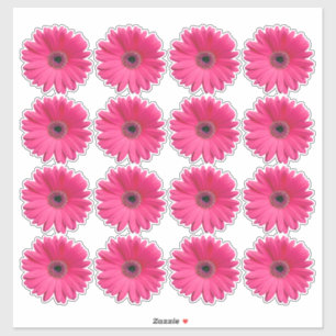 16 Pegatinas de Flor de Gerbera Rosa Kiss-Cut