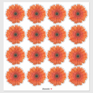 16 Pegatinas de flores de gerbera naranja Kiss-Cut