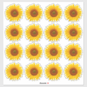 16 Pegatinas de girasol naranja amarillo cortadas 