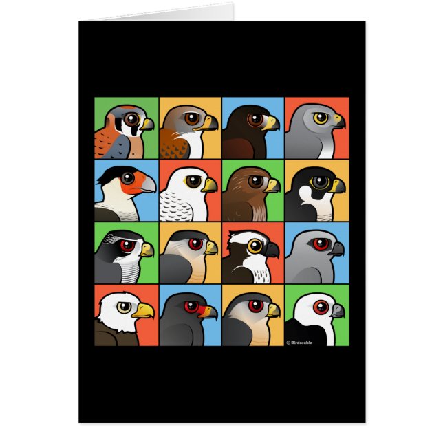 16 perfiles norteamericanos del rapaz (Frente)