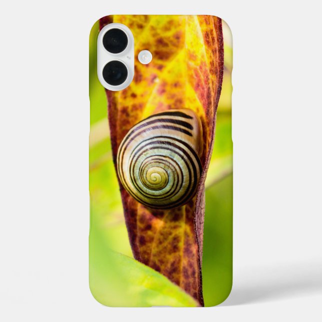 16 Plus Funda para iPhone Case-Mate de sujeción tranquila (Reverso )