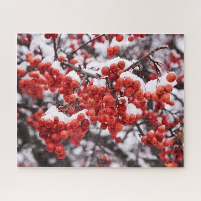 16x20, 520 Piece, Puzzle (Horizontal)