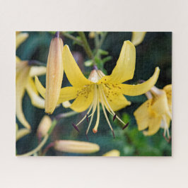 16x20, 520 piezas, rompecabezas