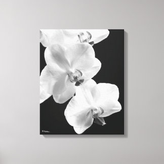 16X20 orquídeas en blanco y negro envuelto arte de