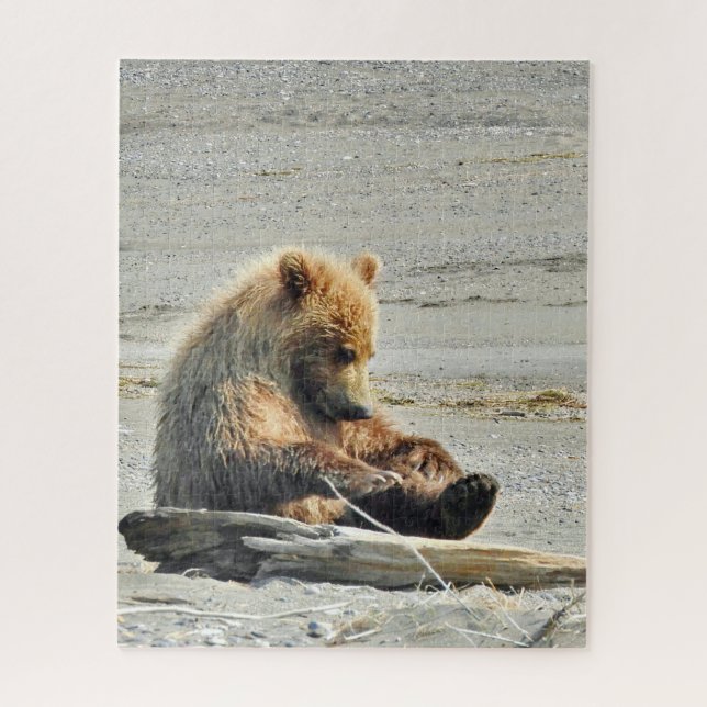 16x20 Rompecabezas del oso pardo (Vertical)