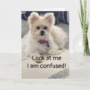 **18º CUMPLEAÑOS** ¡MUY CONFUNDIDO! Tarjeta