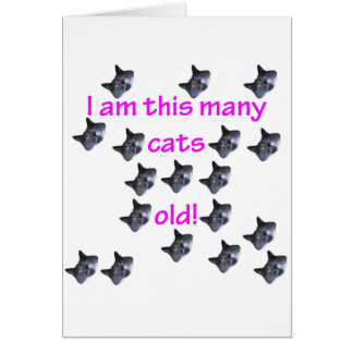 18 cabezas del gato viejas