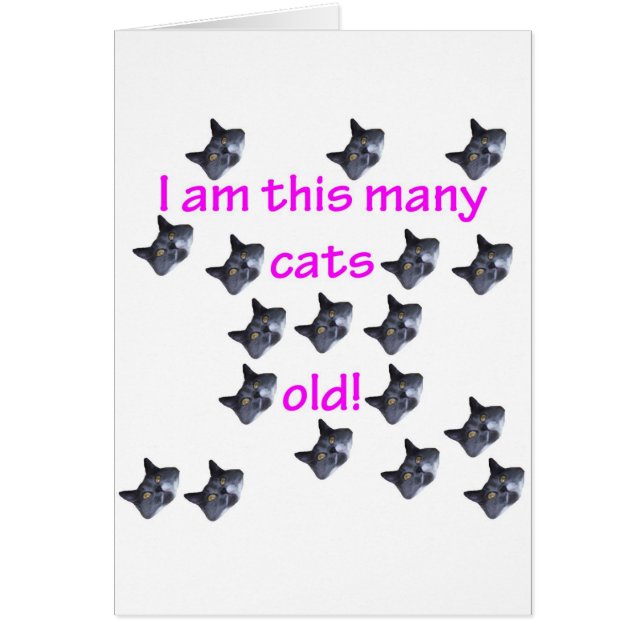 18 cabezas del gato viejas (Frente)