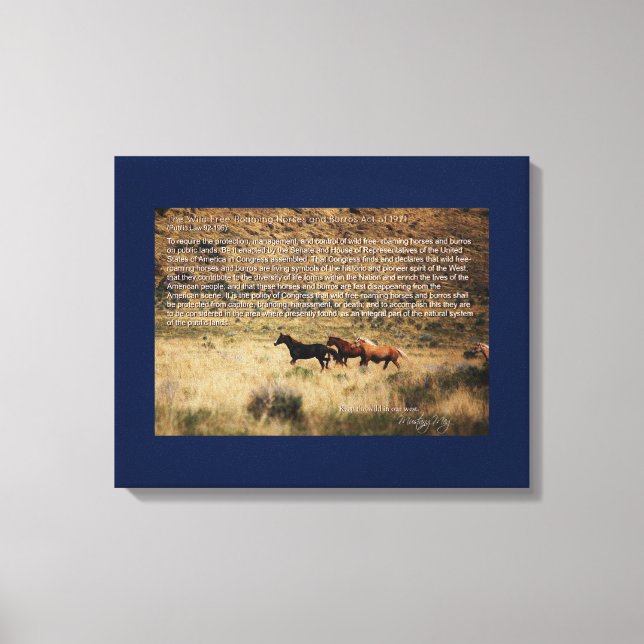1971 Lienzo para la Ley de Caballos y Burros para  (Anverso)