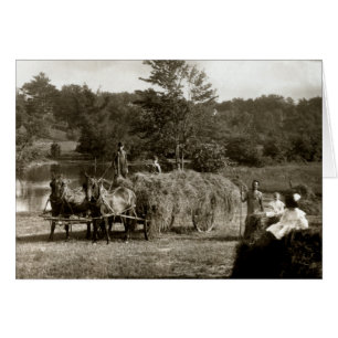 19.º C. Agricultores trabajando