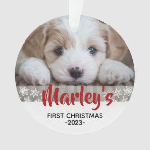 1.ᵉʳ adorno navideño personalizado
