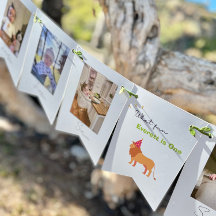 1.ᵉʳ Cumpleaños Cartel de Bunting fotográfico de 1