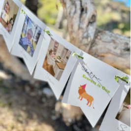 1.ᵉʳ Cumpleaños Cartel de Bunting fotográfico de 1