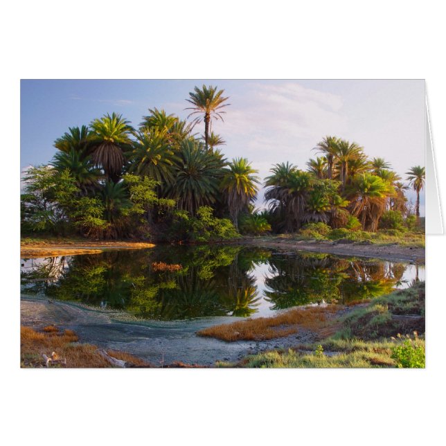 1.000.000 Años A.C. (Anverso (Horizontal))