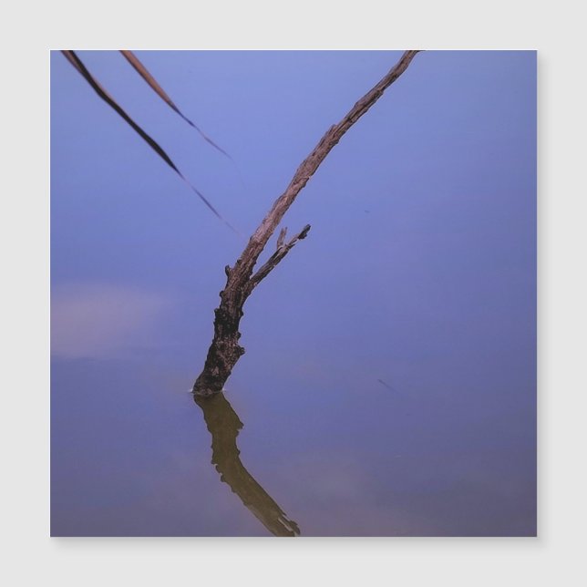 #1-Etang de Scamandre en Camargue. Aimant (Anverso)