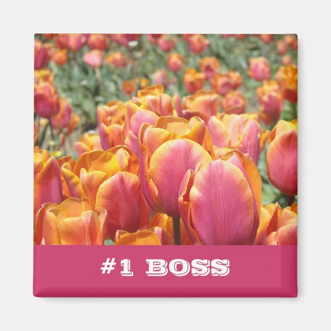 #1 imanes regalos Flores Tulipán Rosa Naranja (Frente)